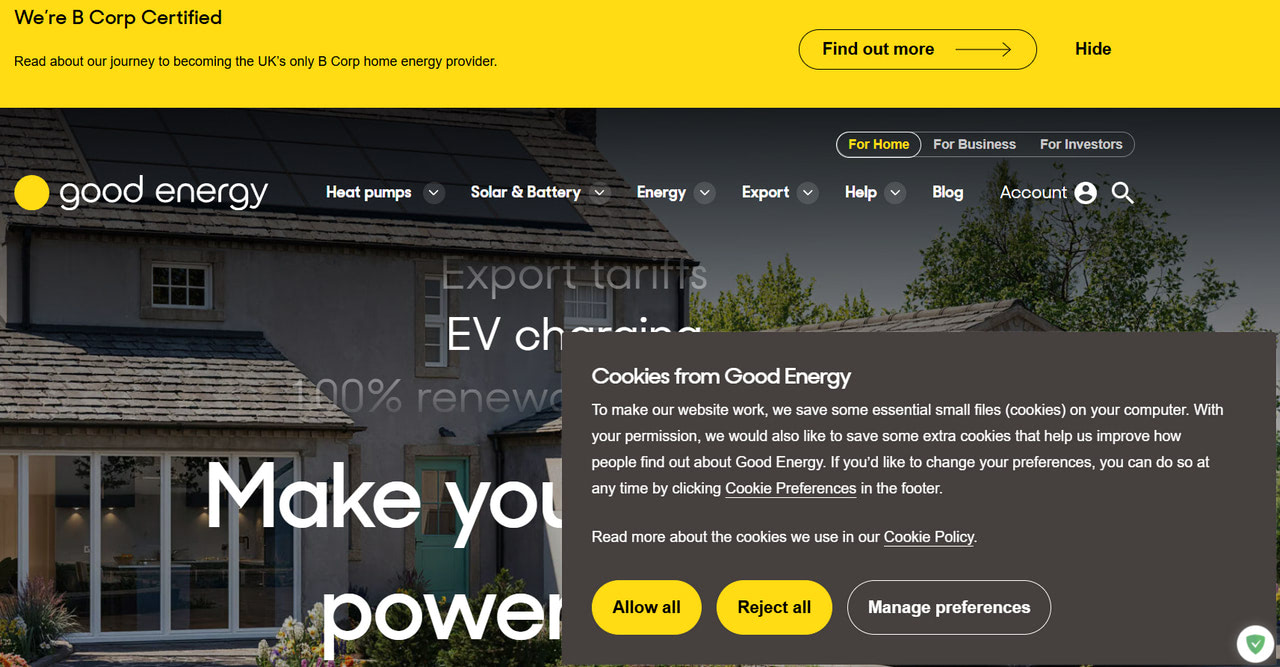 Ethics in Website Design