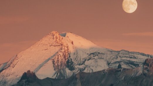 January Newsletter Ideas and Examples for 2026